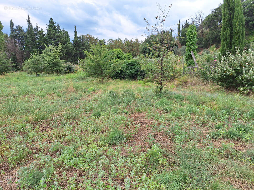 Terrain à ILLE-SUR-TET