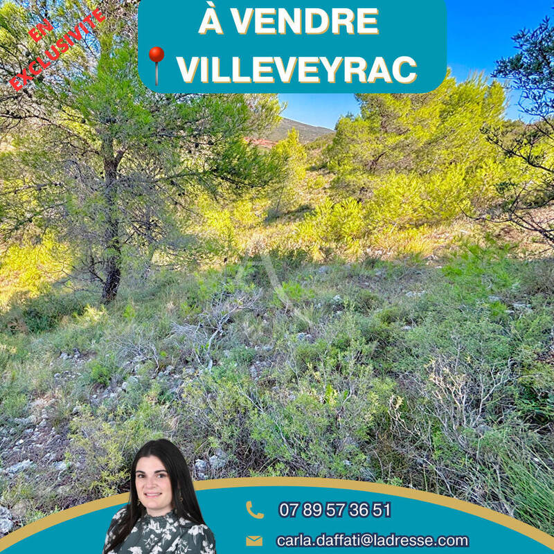 Terrain à VILLEVEYRAC