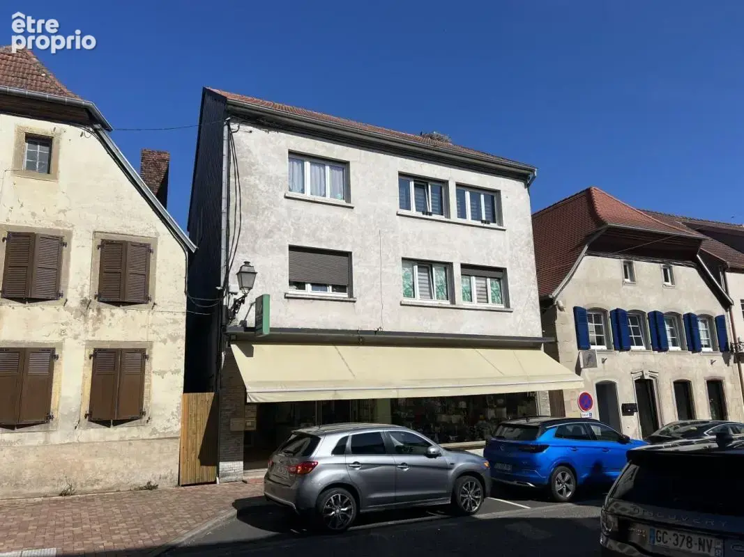 Appartement 170 m² à vendre à Sarralbe (57430) - photo 2