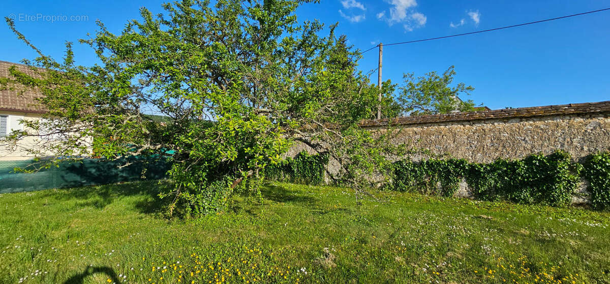 Terrain à THOMERY