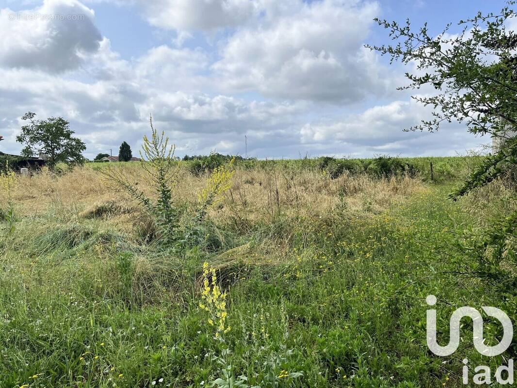 Photo 1 - Terrain à PORTETS