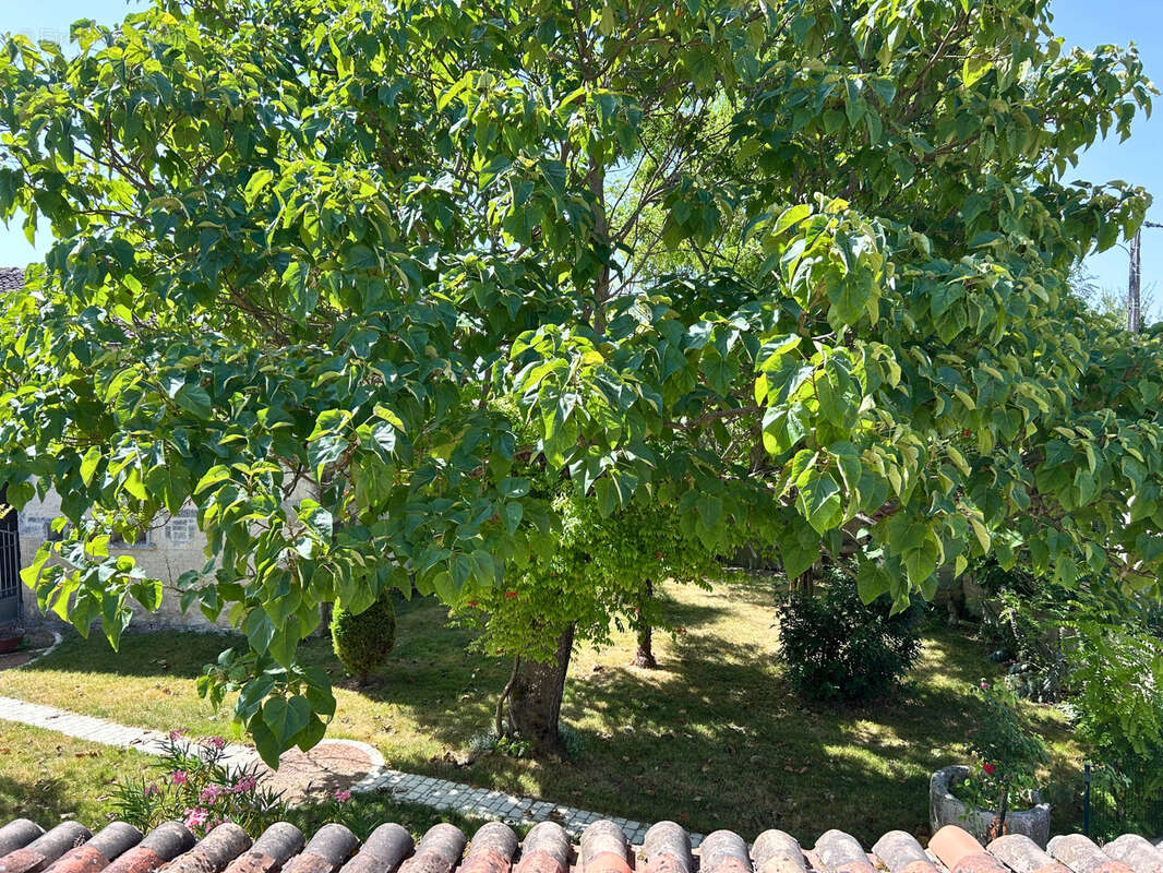 Maison charentaise avec jardin à merpins - photo 2