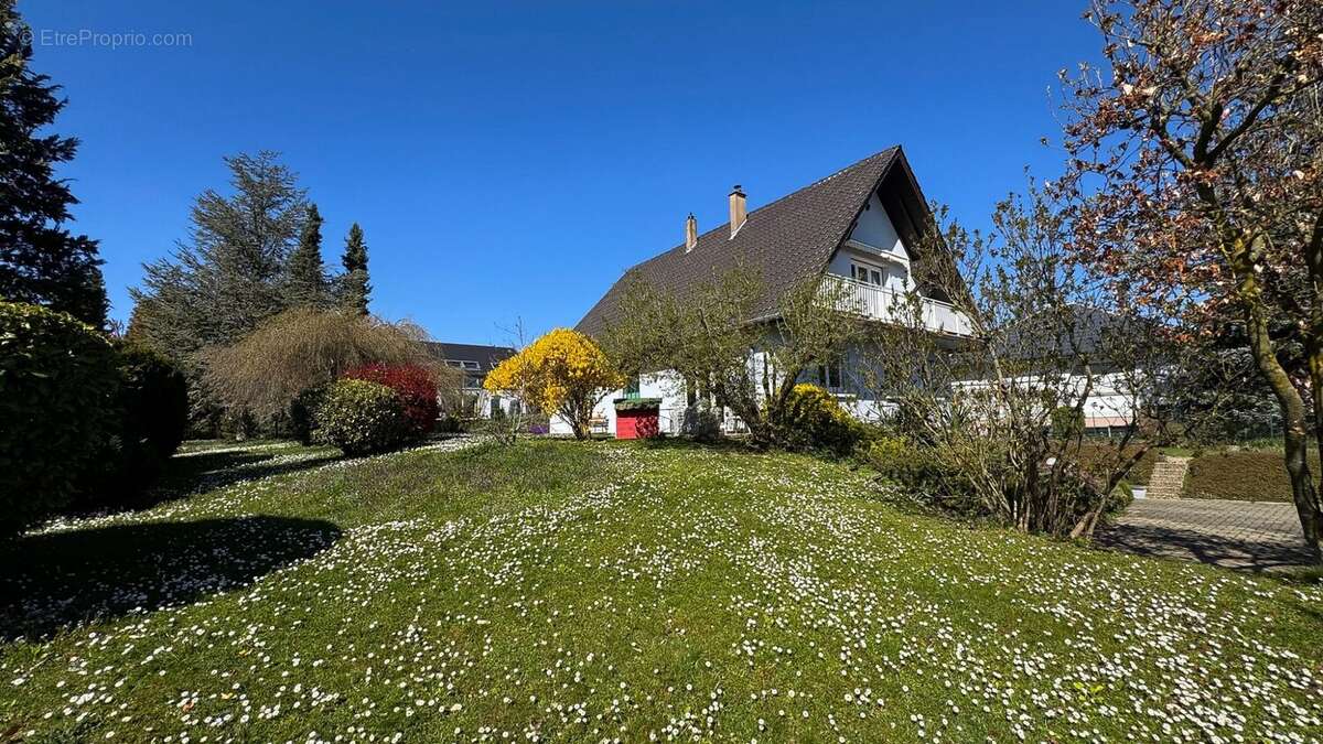 Maison à ACHENHEIM