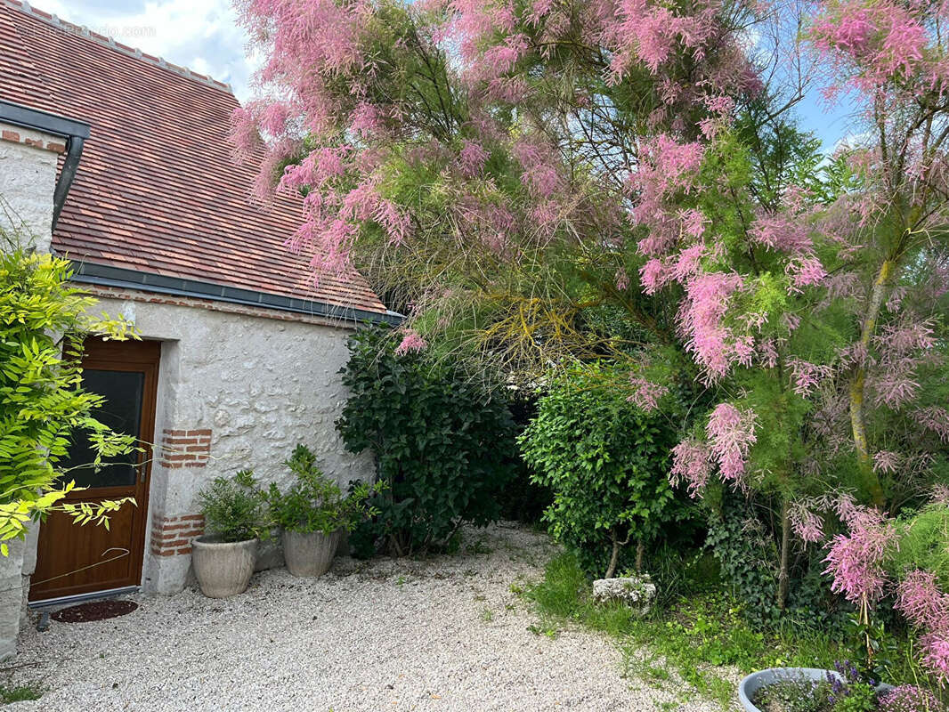 Maison à SAINT-AY