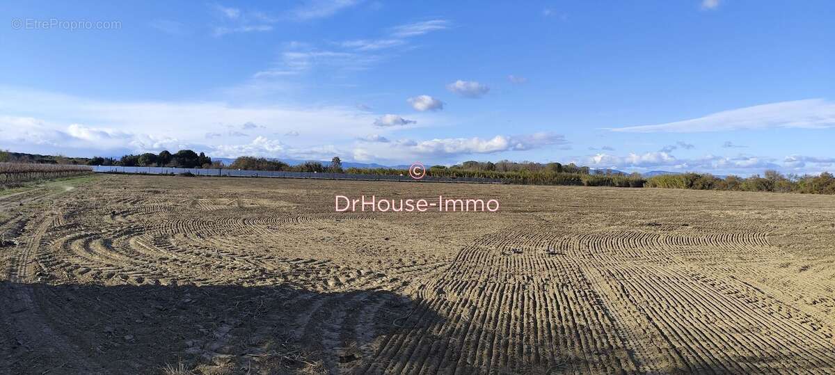 Terrain à TORREILLES