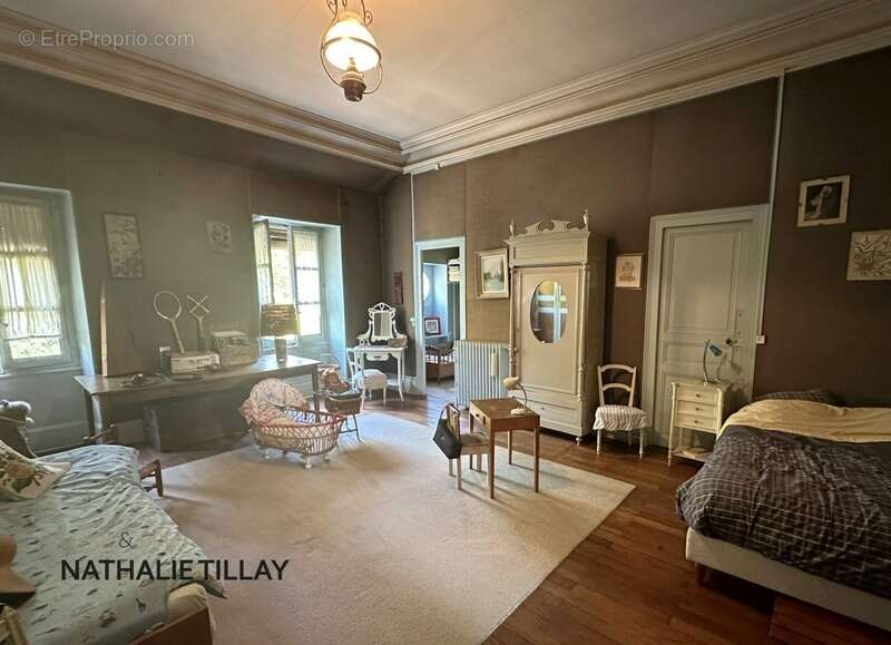 Orleans, centre, a vendre, hôtel particulier 400 m², jardin - photo 14