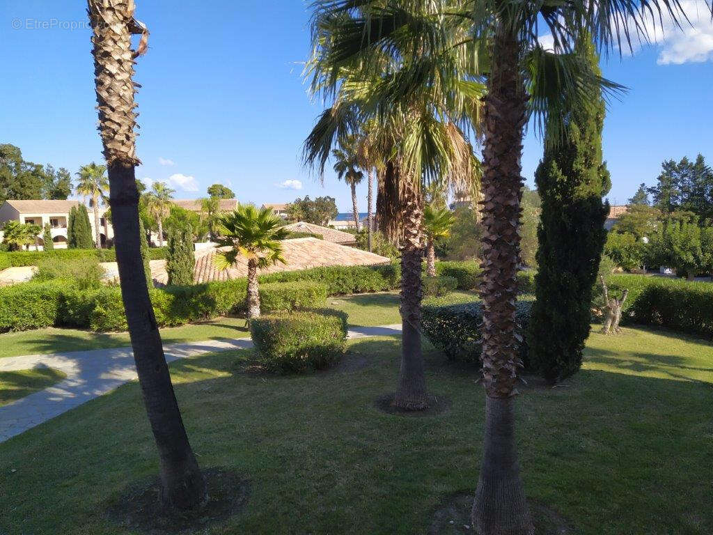 Appartement à LINGUIZZETTA