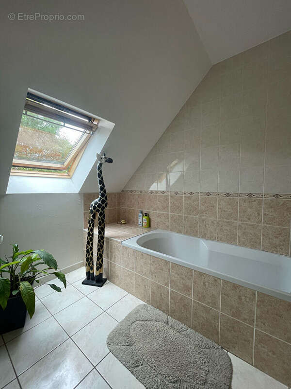 Maison Dijon - photo 13