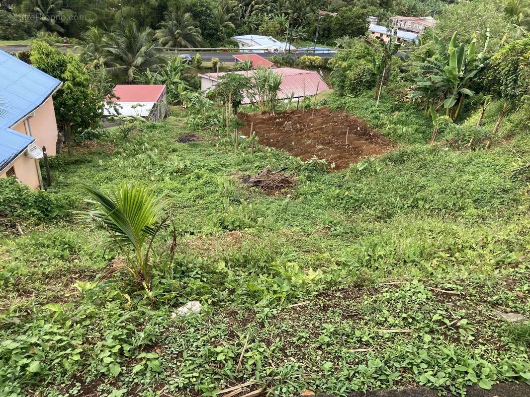 Terrain à SAINTE-MARIE