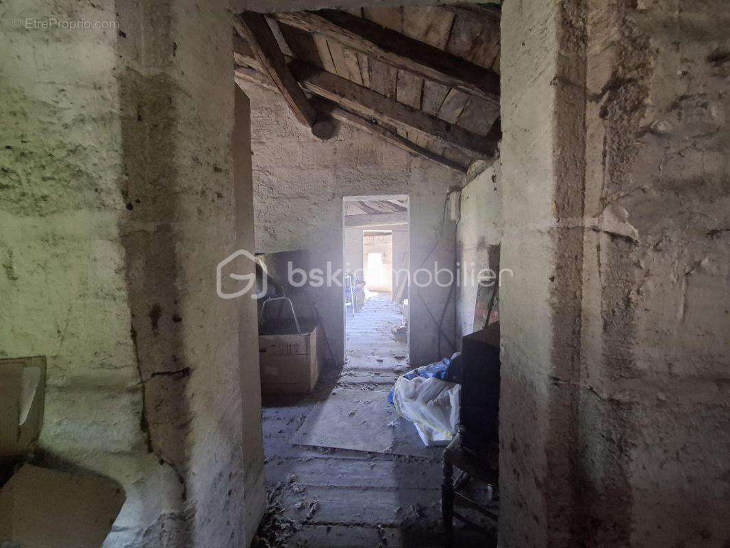 Authentique girondine 260 m² – Terrain arboré de 2 500 m² – Sainte-Terre (33350) - photo 17