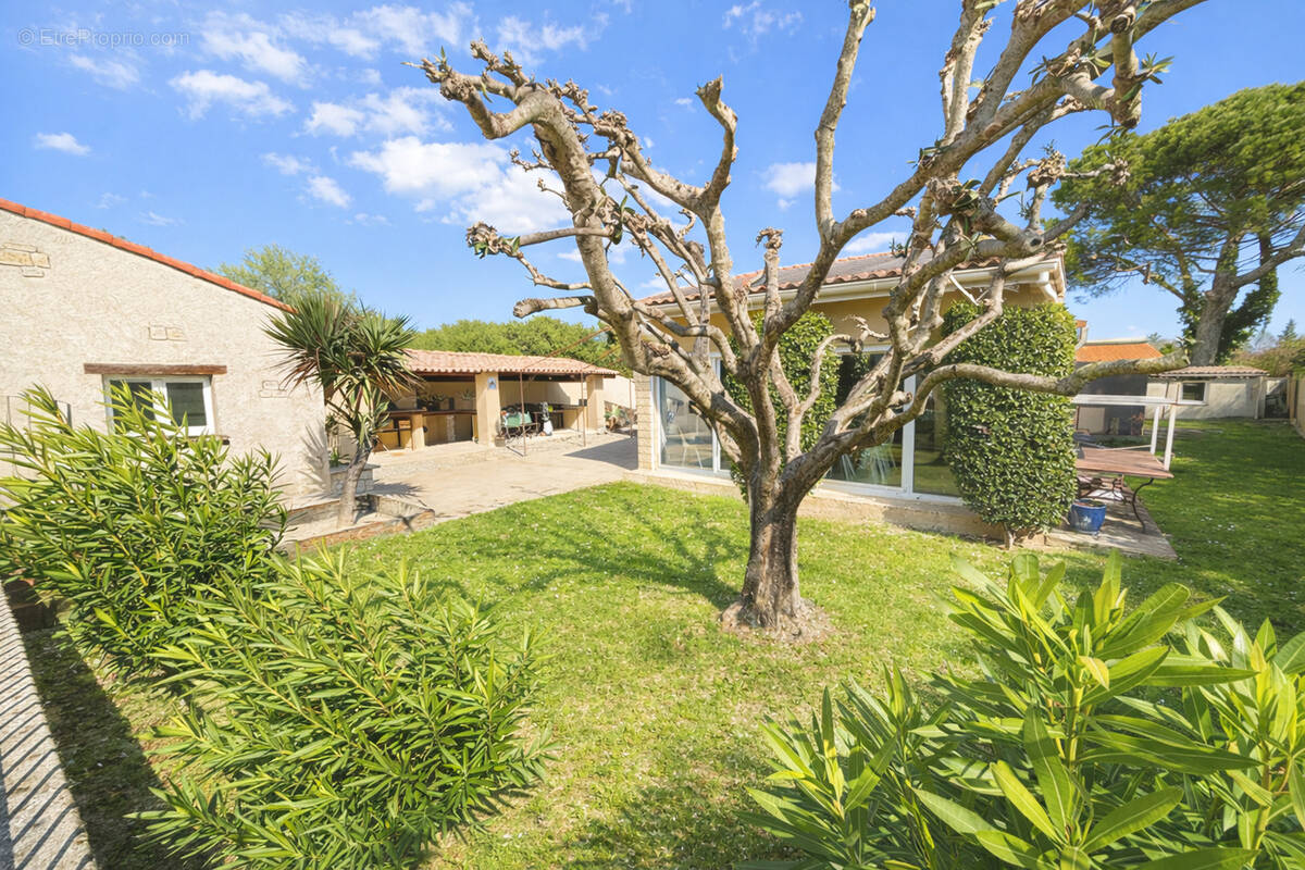 Maison à MONTELIMAR