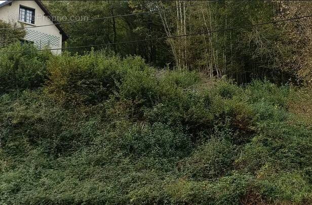 Terrain à MALEMORT-SUR-CORREZE