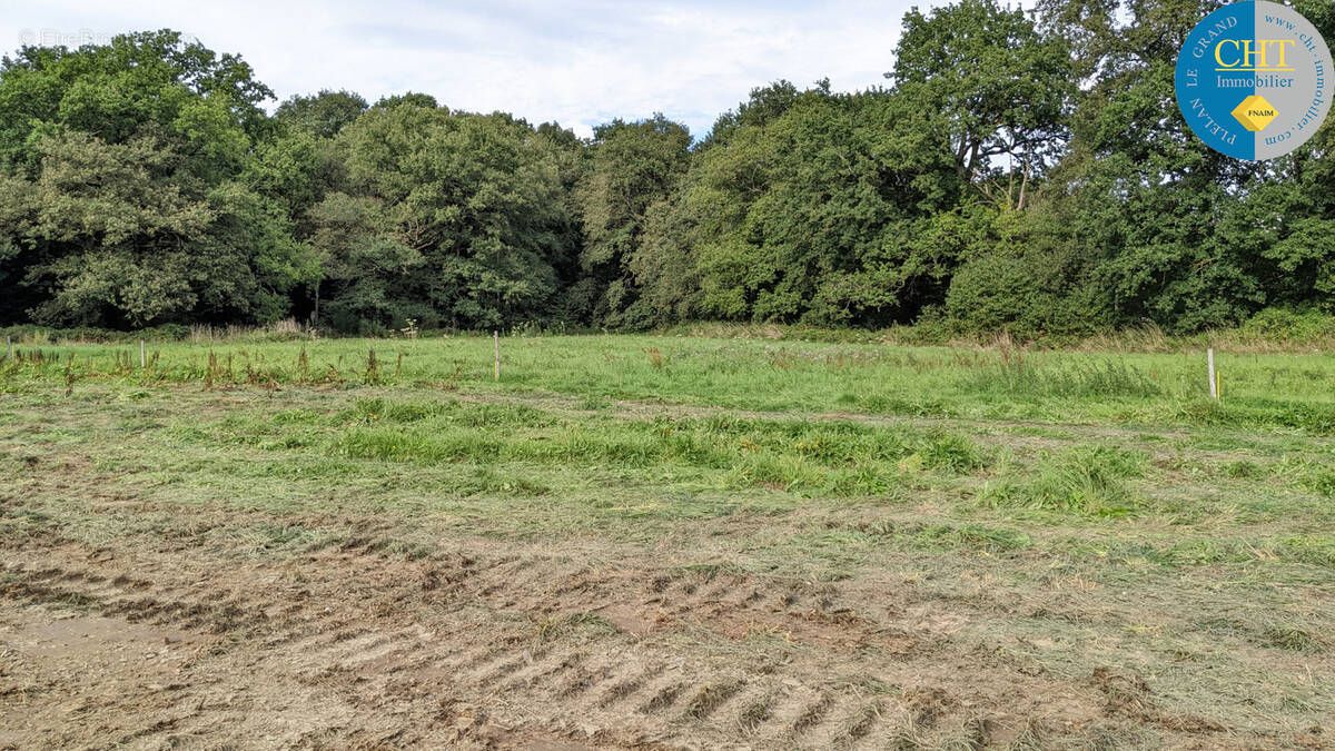 Terrain à MISSIRIAC