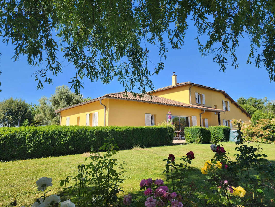 à vendre maison contemporaine avec gite et piscine - Maison à MARCIAC
