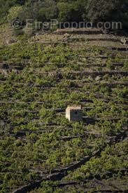 Maison à BANYULS-SUR-MER