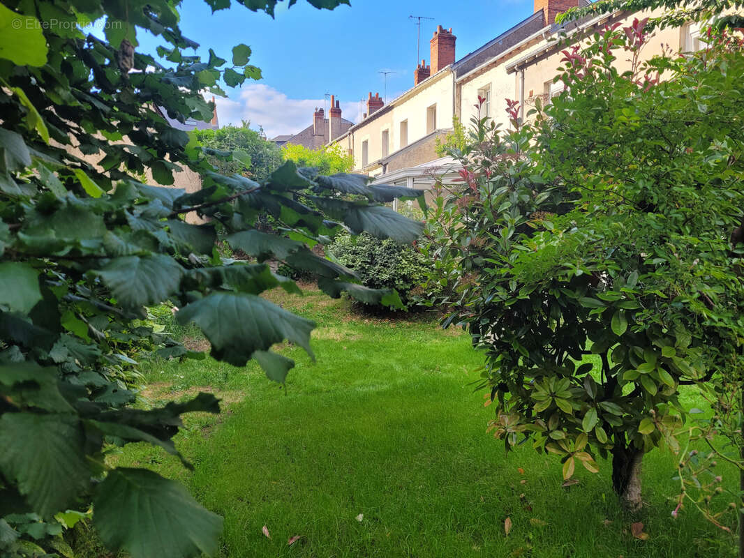Maison à TOURS