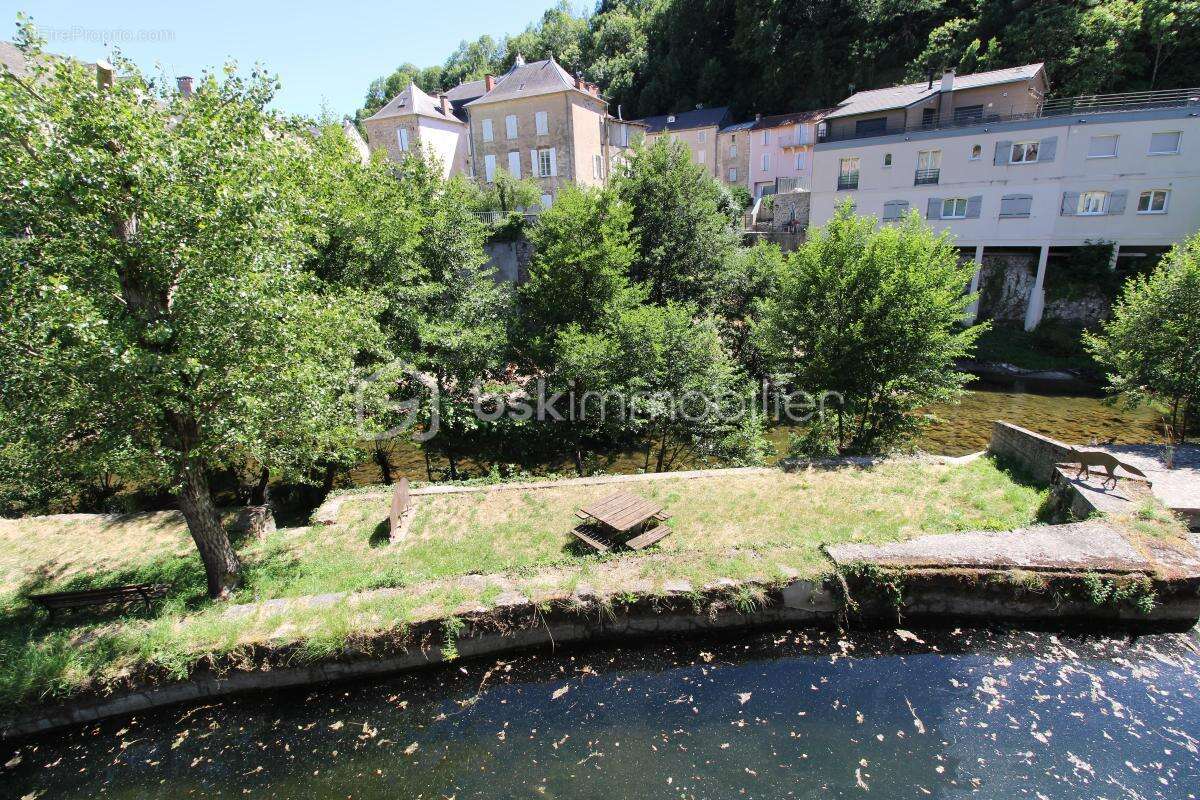Coup de cœur : Grande maison familiale avec vue rivière – Sud-Aveyron - photo 5