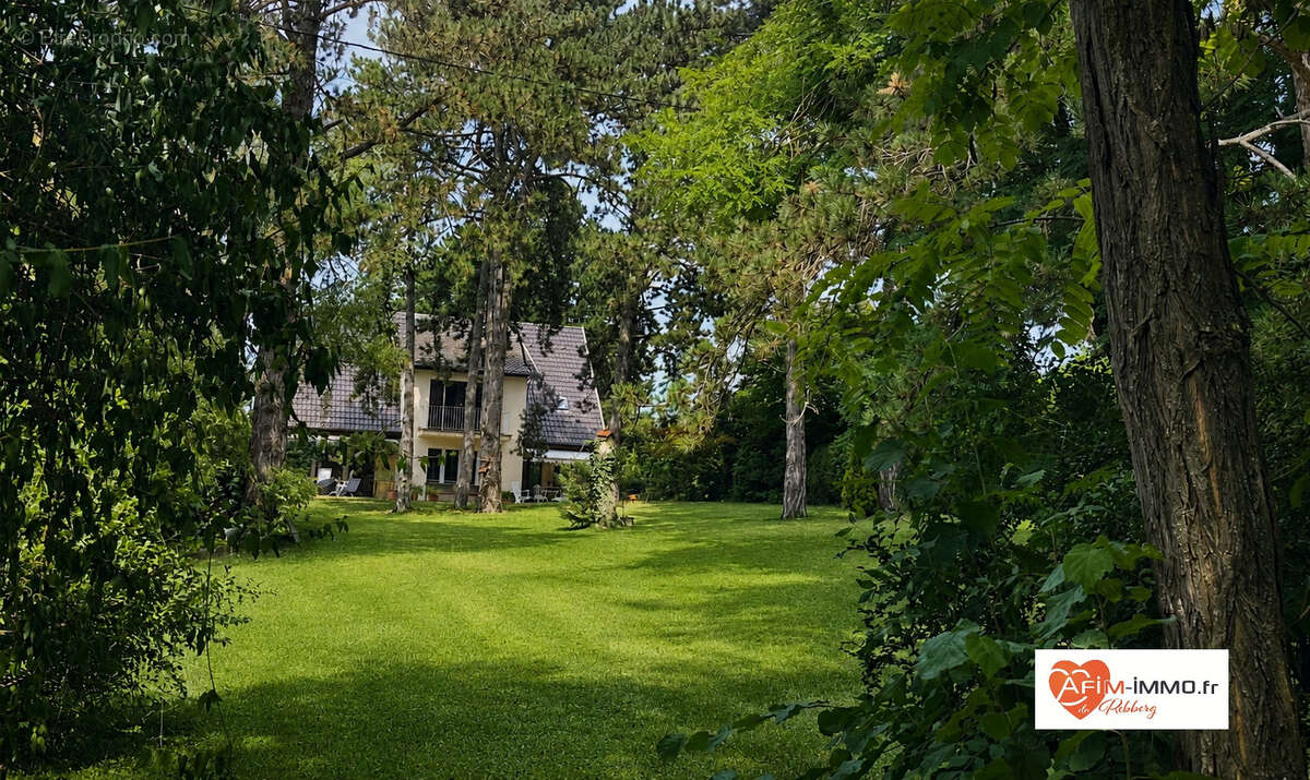Maison architecte 253m2   Parc 22 ares- Plain-pied 6 chambres orientation ouest - photo 17
