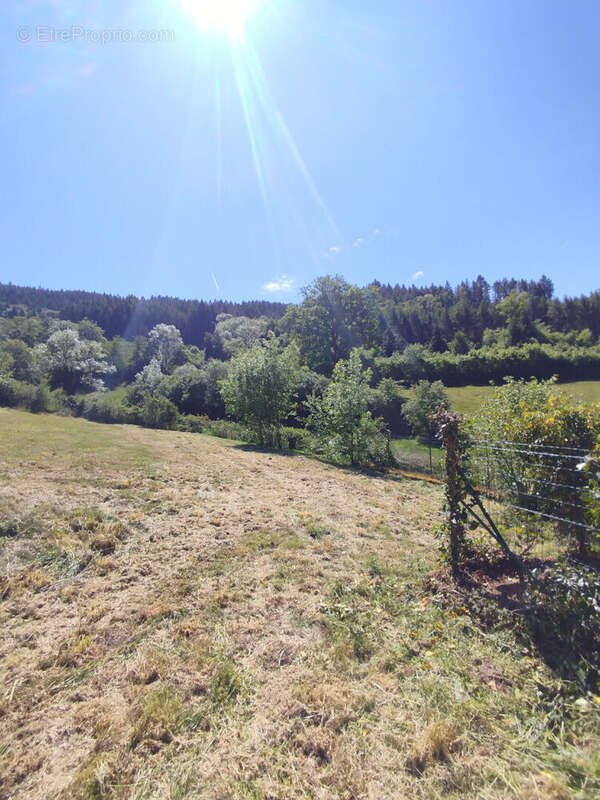 Maison à LA PETITE-VERRIERE