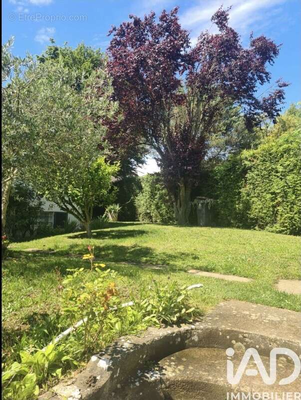 Photo 3 - Maison à SAINT-PATHUS