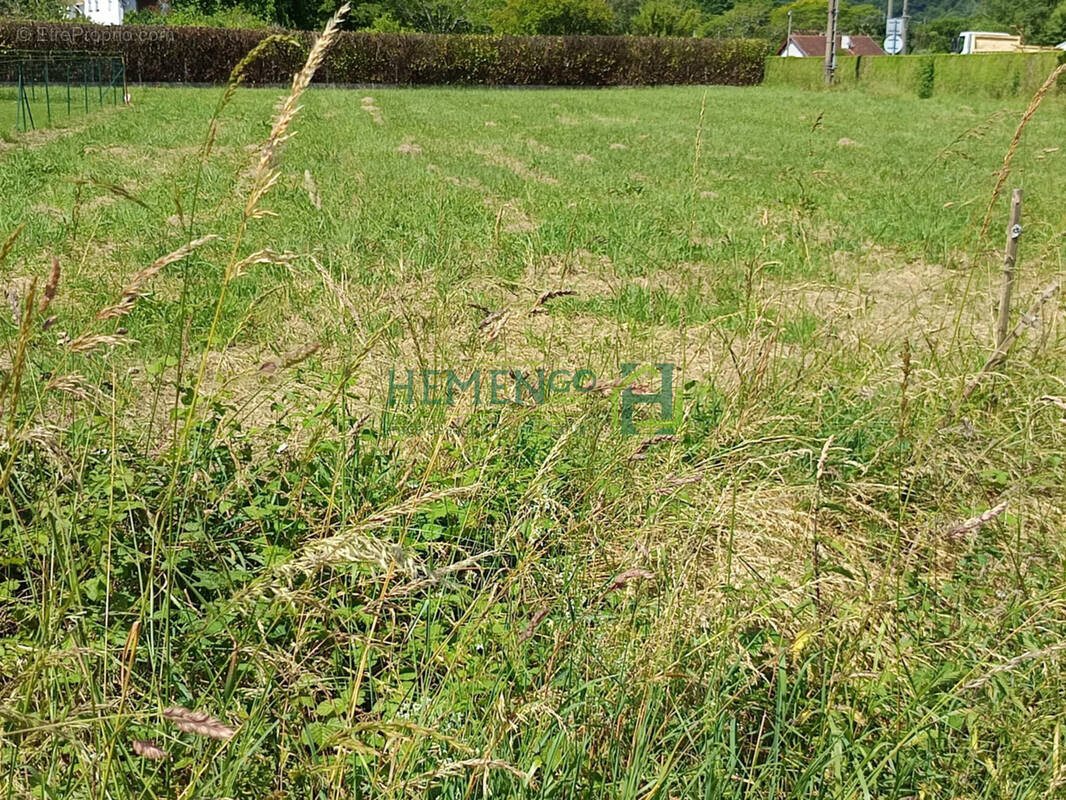 Terrain à ESPES-UNDUREIN