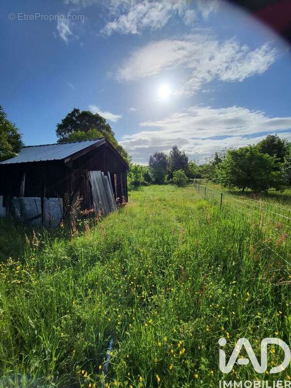 Photo 2 - Terrain à BAZAS
