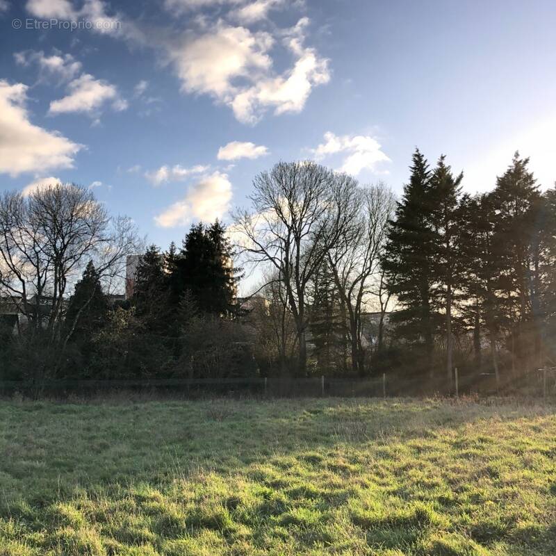 Terrain à YVRE-L'EVEQUE