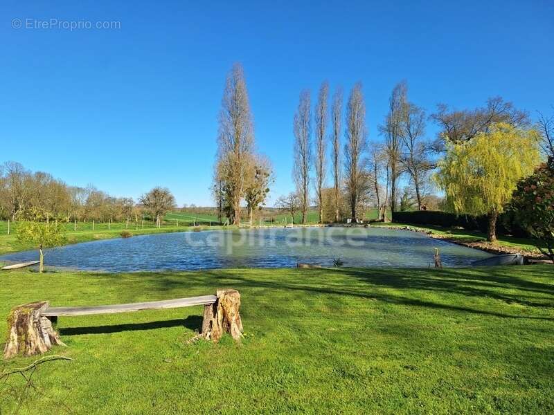 Terrain à MONTIGNE-LE-BRILLANT