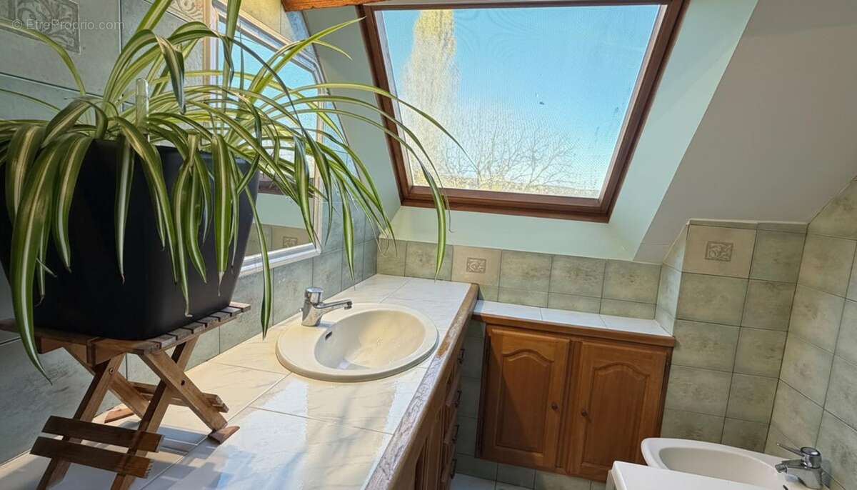 Maison 267 m² à Crux-La-Ville  - photo 17