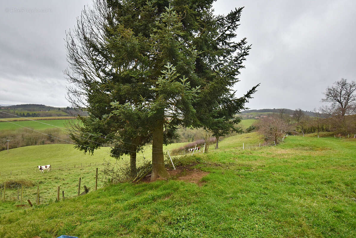 Maison à SAINT-PRIEST-LA-ROCHE