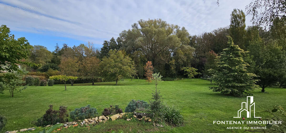 Maison à FONTENAY-LE-COMTE