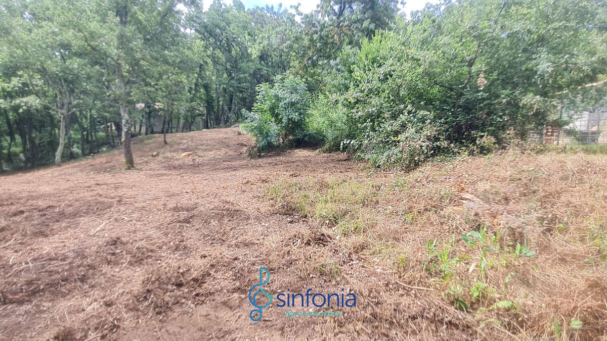 Terrain à POUGNADORESSE