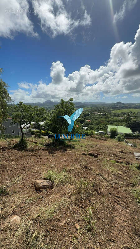 Terrain à LE FRANCOIS