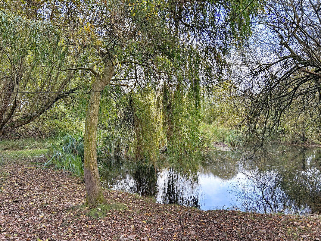 Maison à VIERVILLE-SUR-MER