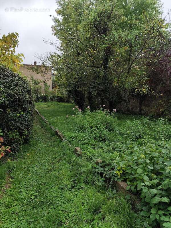 Photo 5 - Appartement à MULHOUSE