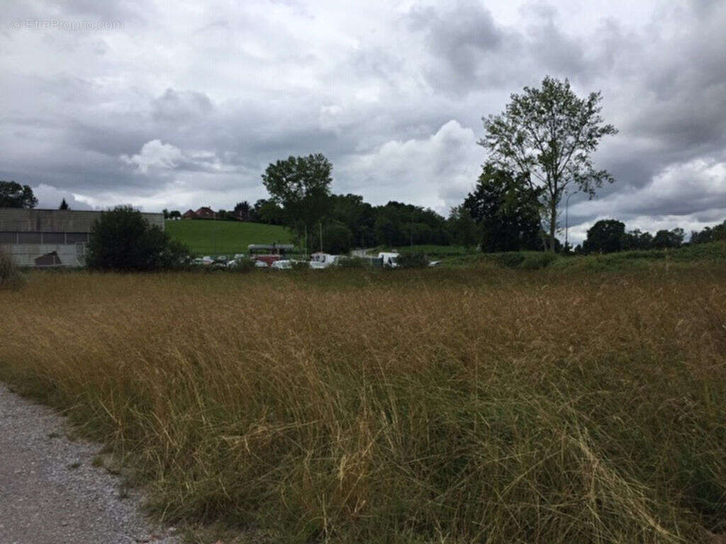 Terrain à NAVARRENX