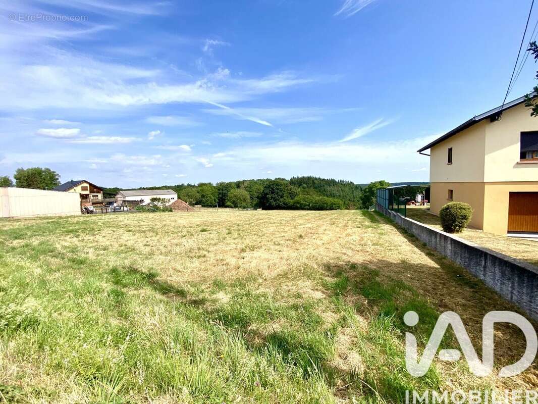 Photo 5 - Terrain à HOMMERT