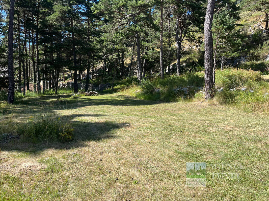 Terrain à CAILLE