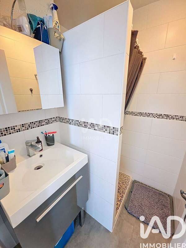 Photo 9 - Maison à LA CHAPELLE-SAINT-MESMIN