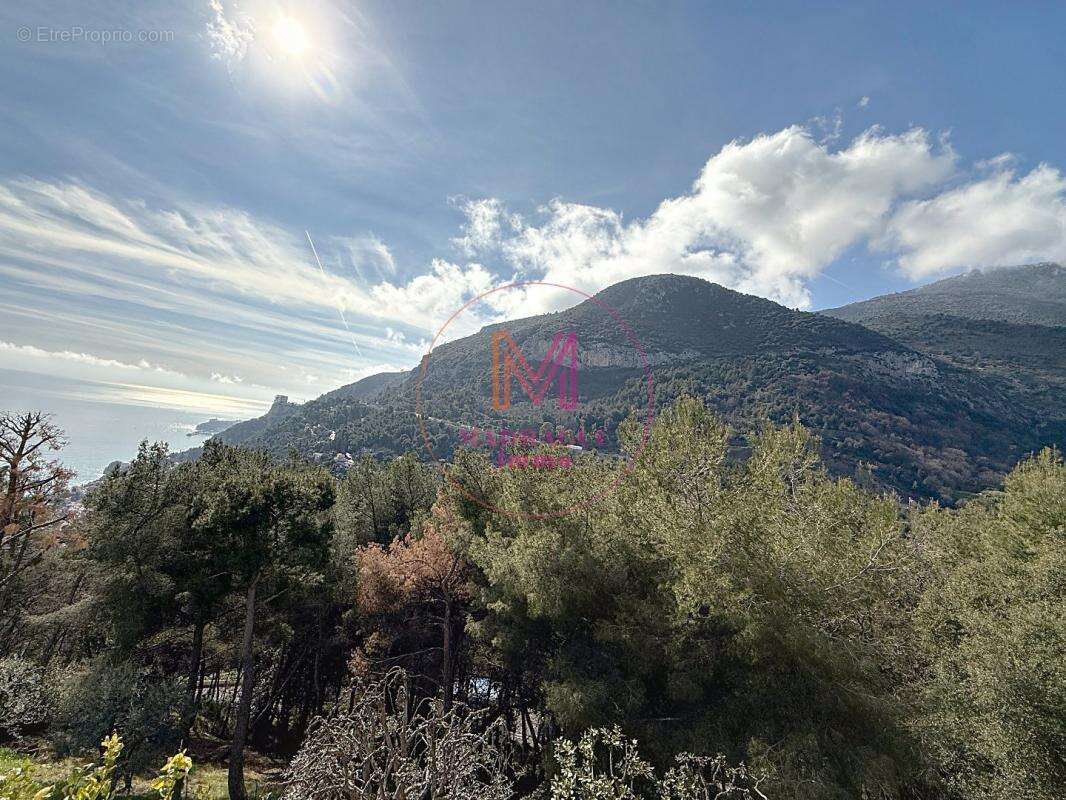 Maison à ROQUEBRUNE-CAP-MARTIN
