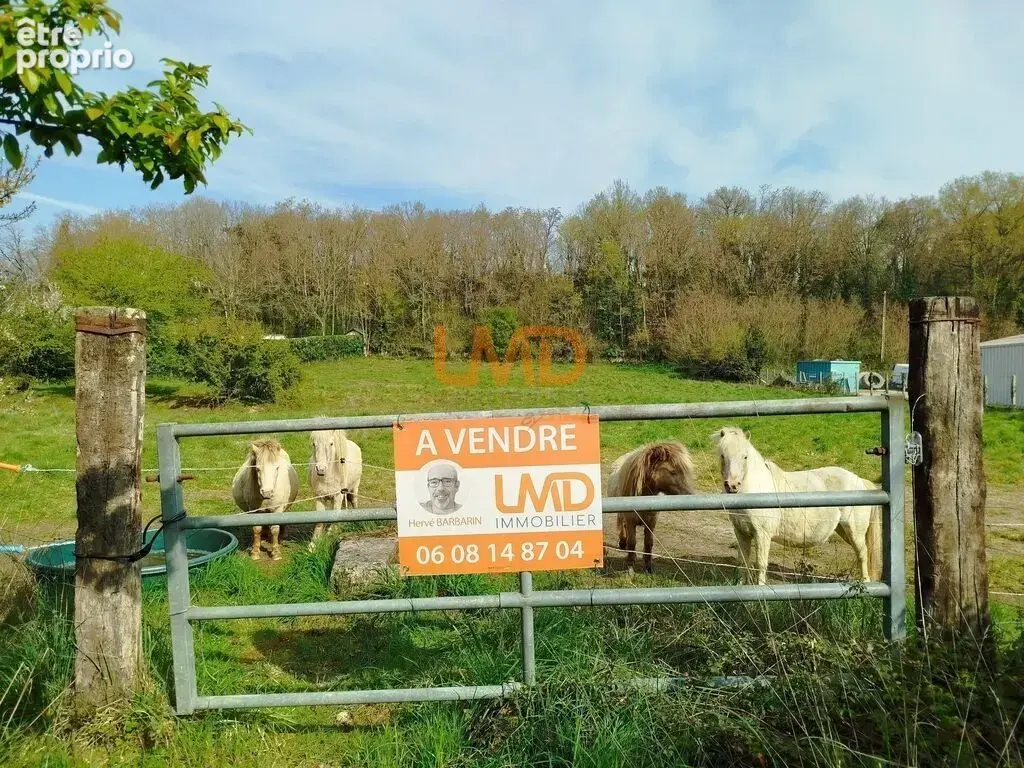 Terrain à bâtir de 4500 m² au Blanc (36300) – Prêt à construire - photo 7