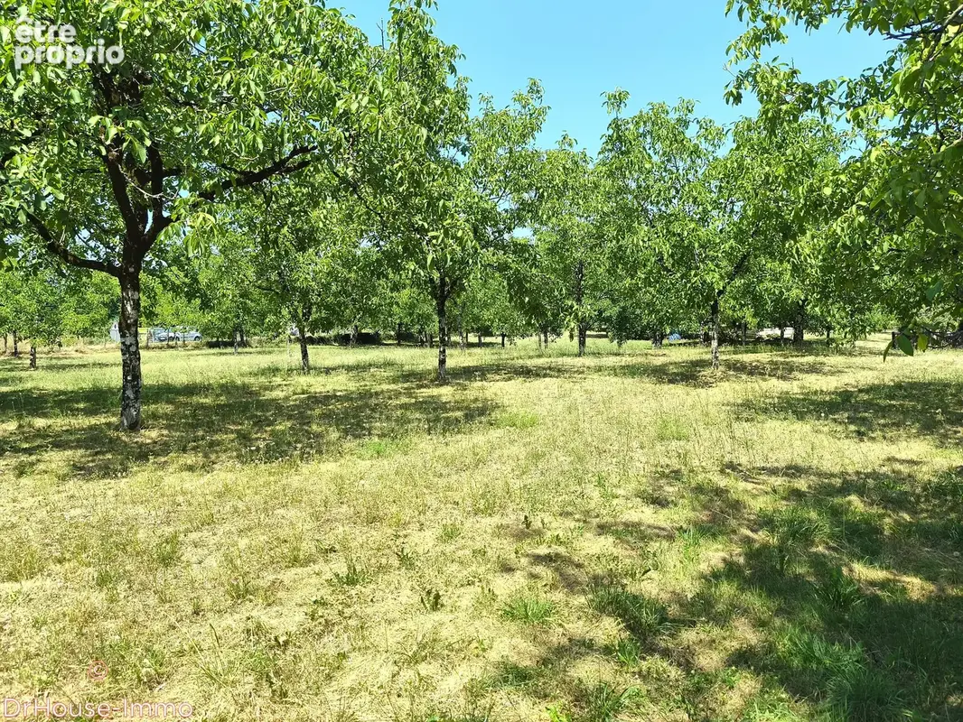 Terrain 1 937 m² à vendre à Nantheuil (24800) - photo 6