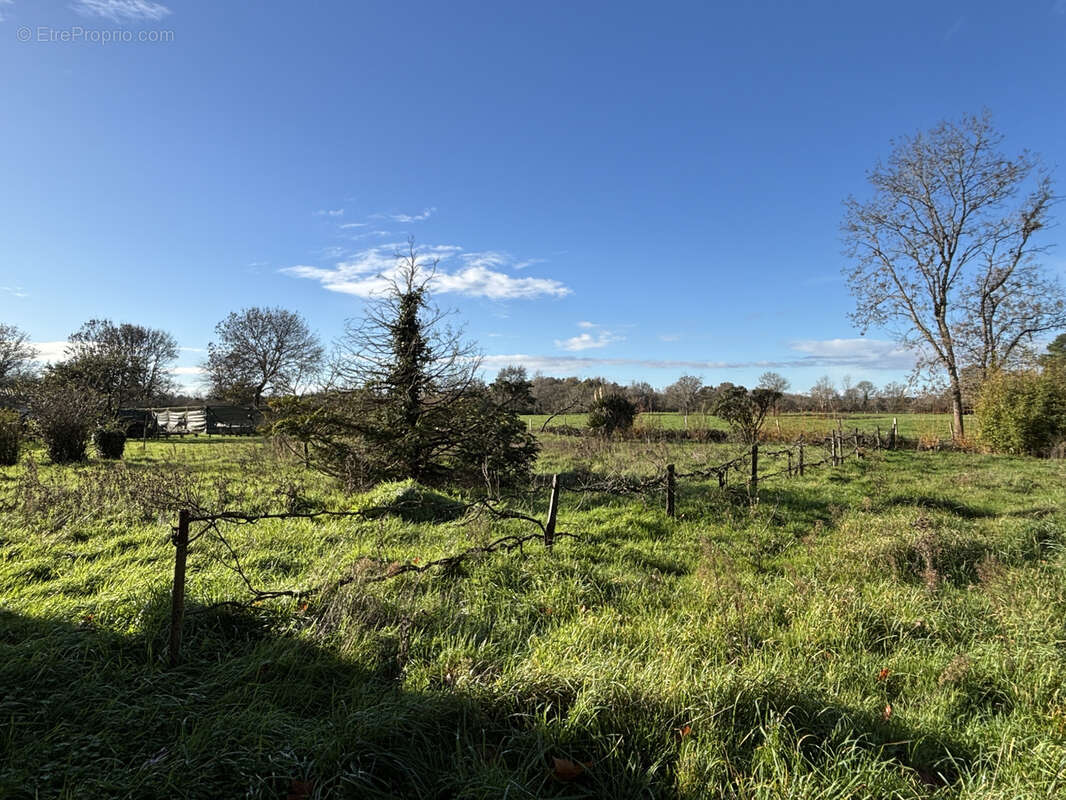 Maison à LE PELLERIN