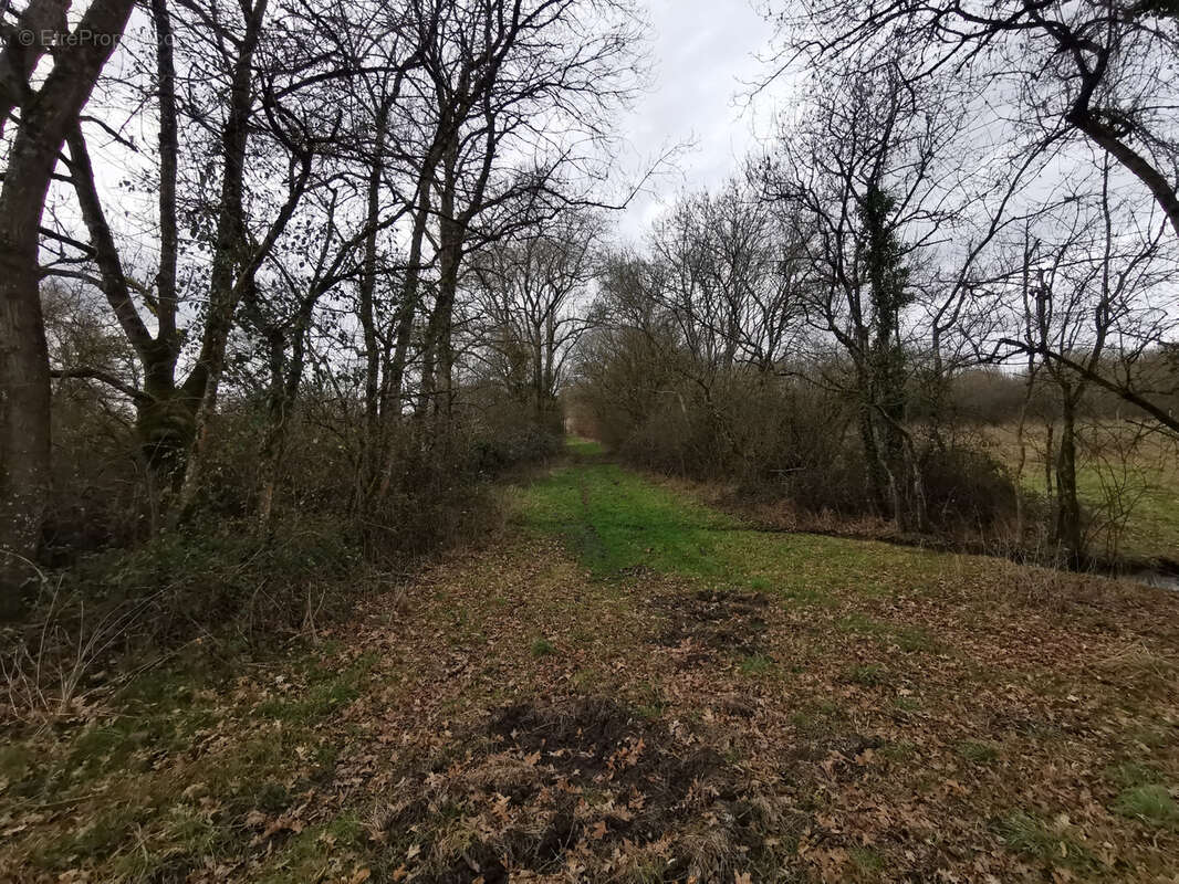 Maison à CHATRES-SUR-CHER