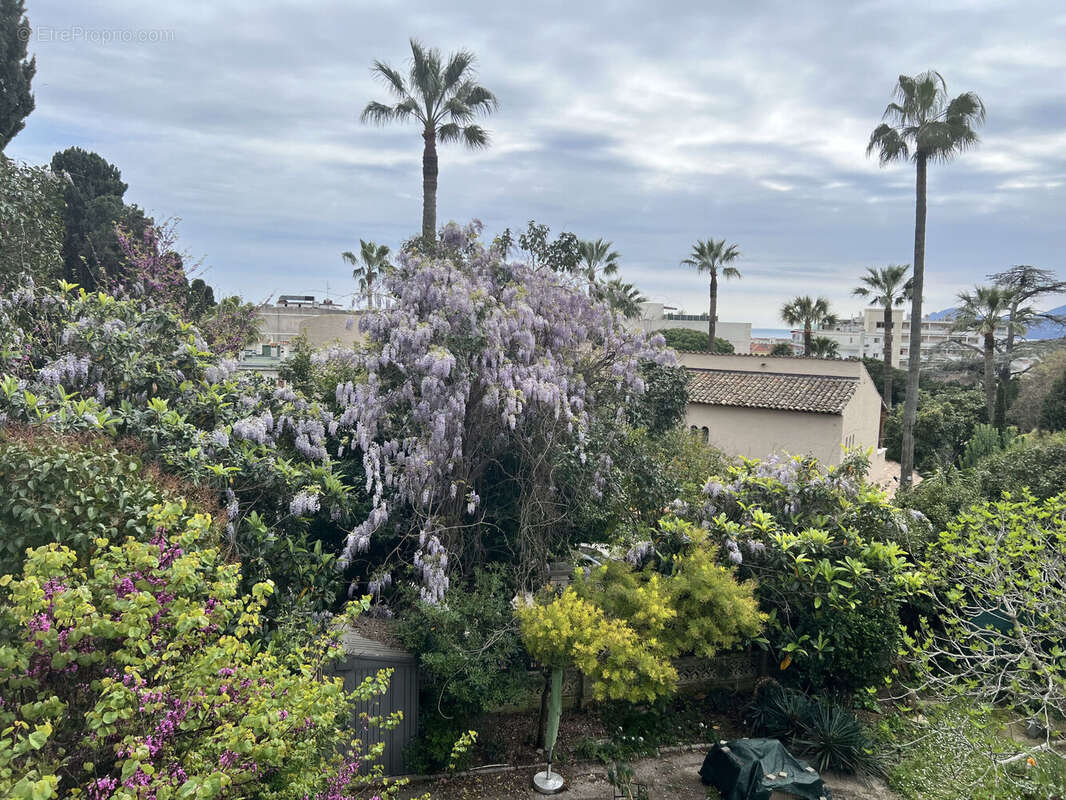 Photo 7 - Appartement à CANNES