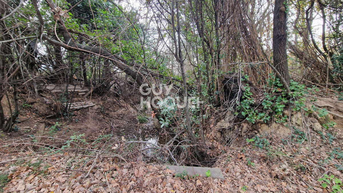 Terrain à TOULOUGES