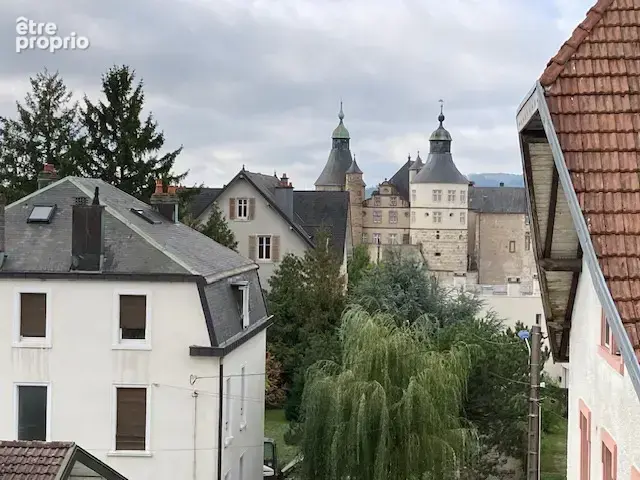 Exclusif et exceptionnel maison de maitre montbeliard - photo 18
