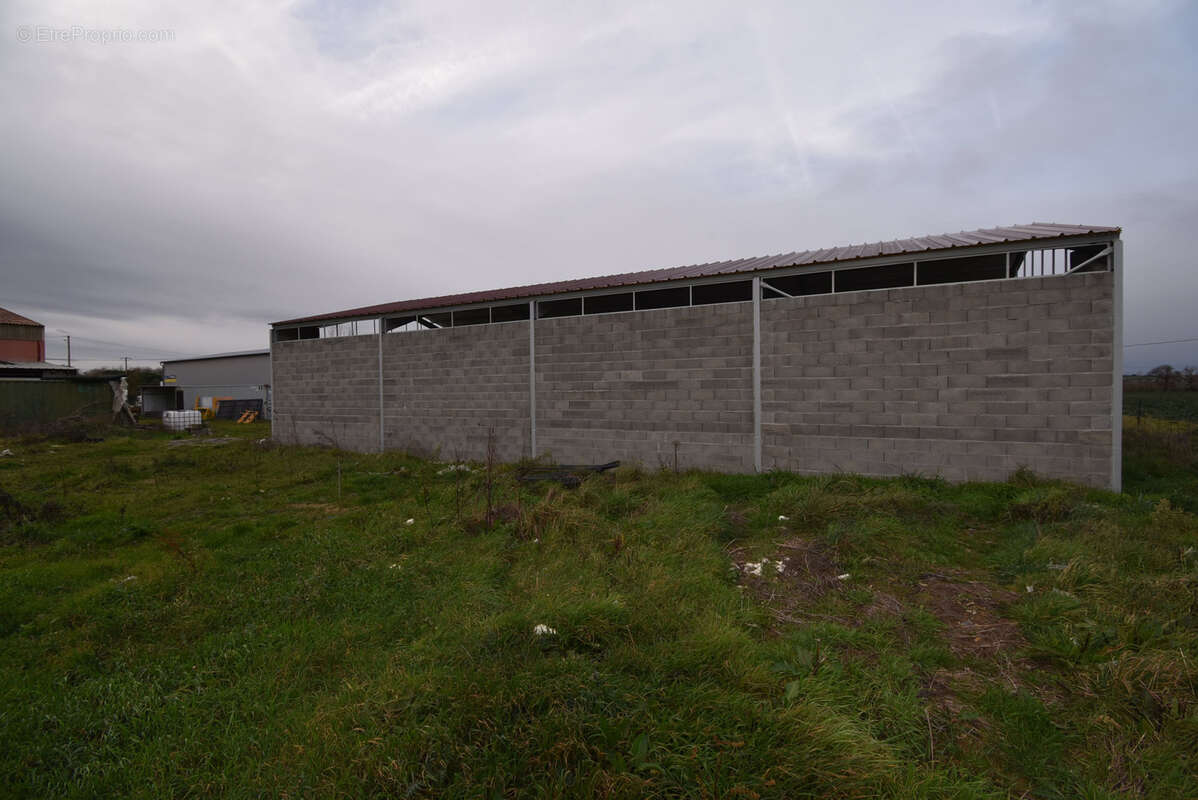 Commerce à CINTEGABELLE