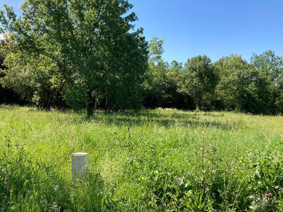 Terrain à SAINT-VAIZE
