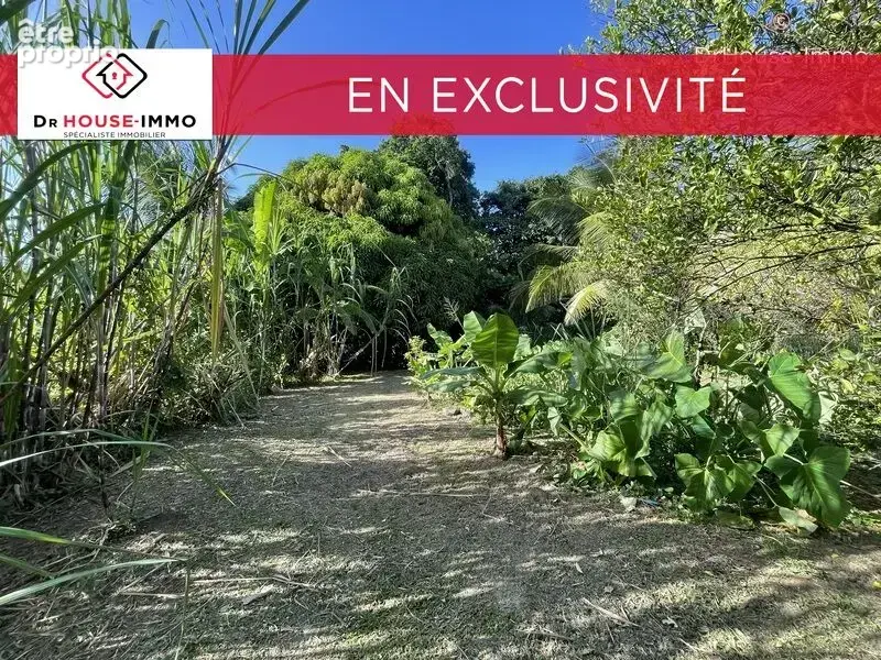 Terrain 1 232 m² à vendre à Sainte-Rose (97115) - photo 4